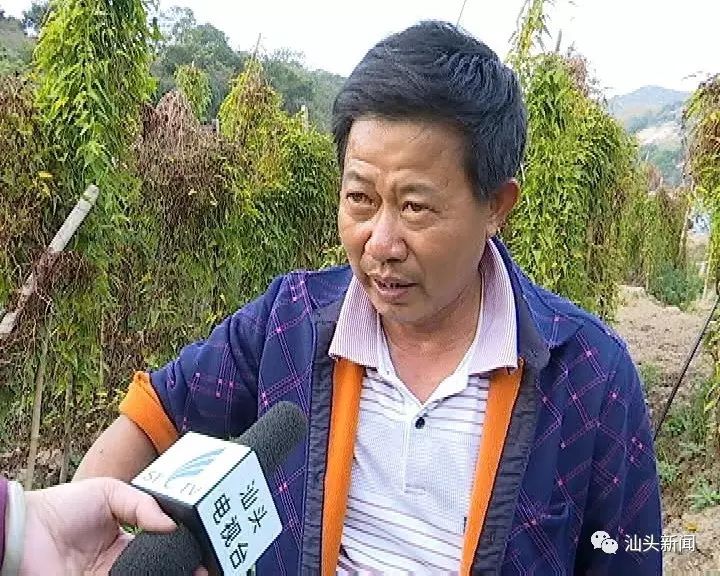 潮阳区西胪镇龙溪村农民 徐汉坤