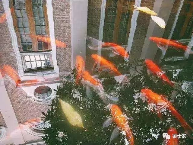 《信心铭》中英对照
