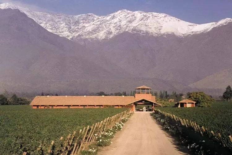 当时,西班牙的侵略者和传教士在莫莱谷(maule valley)和比奥比奥谷