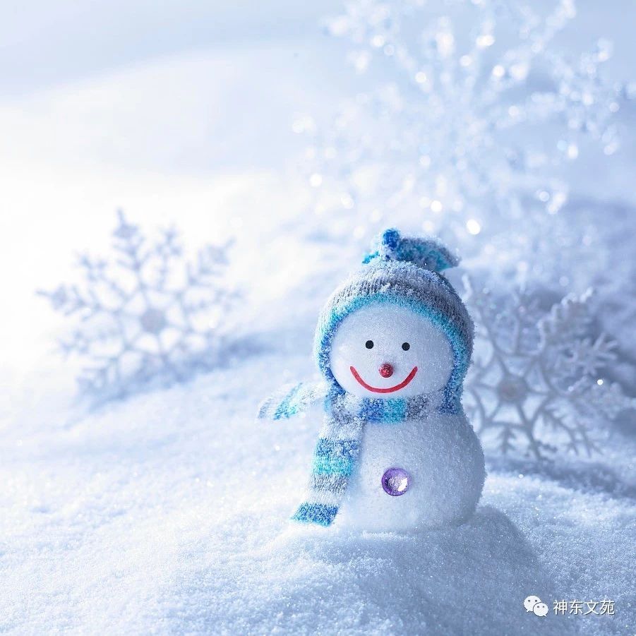 音乐 | 陈慧娴 《飘雪》,请让我在大雪中沉沦!