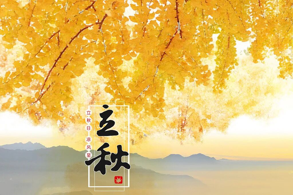 立秋不入秋，往后的45天，这份养生秘笈请收好！