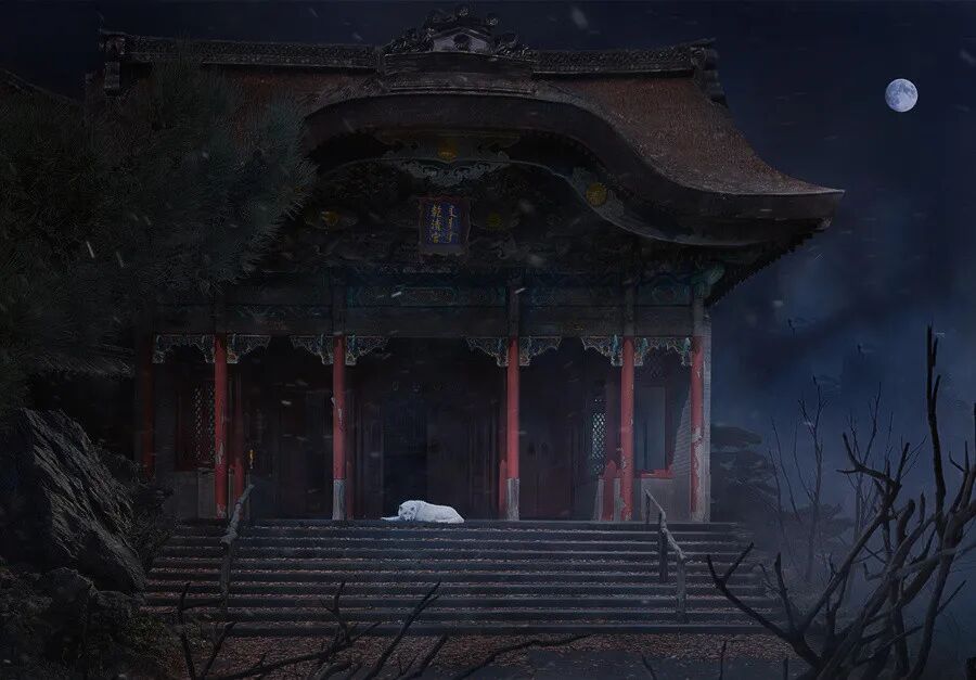 茅山乾元观，白狐听《皇经》！