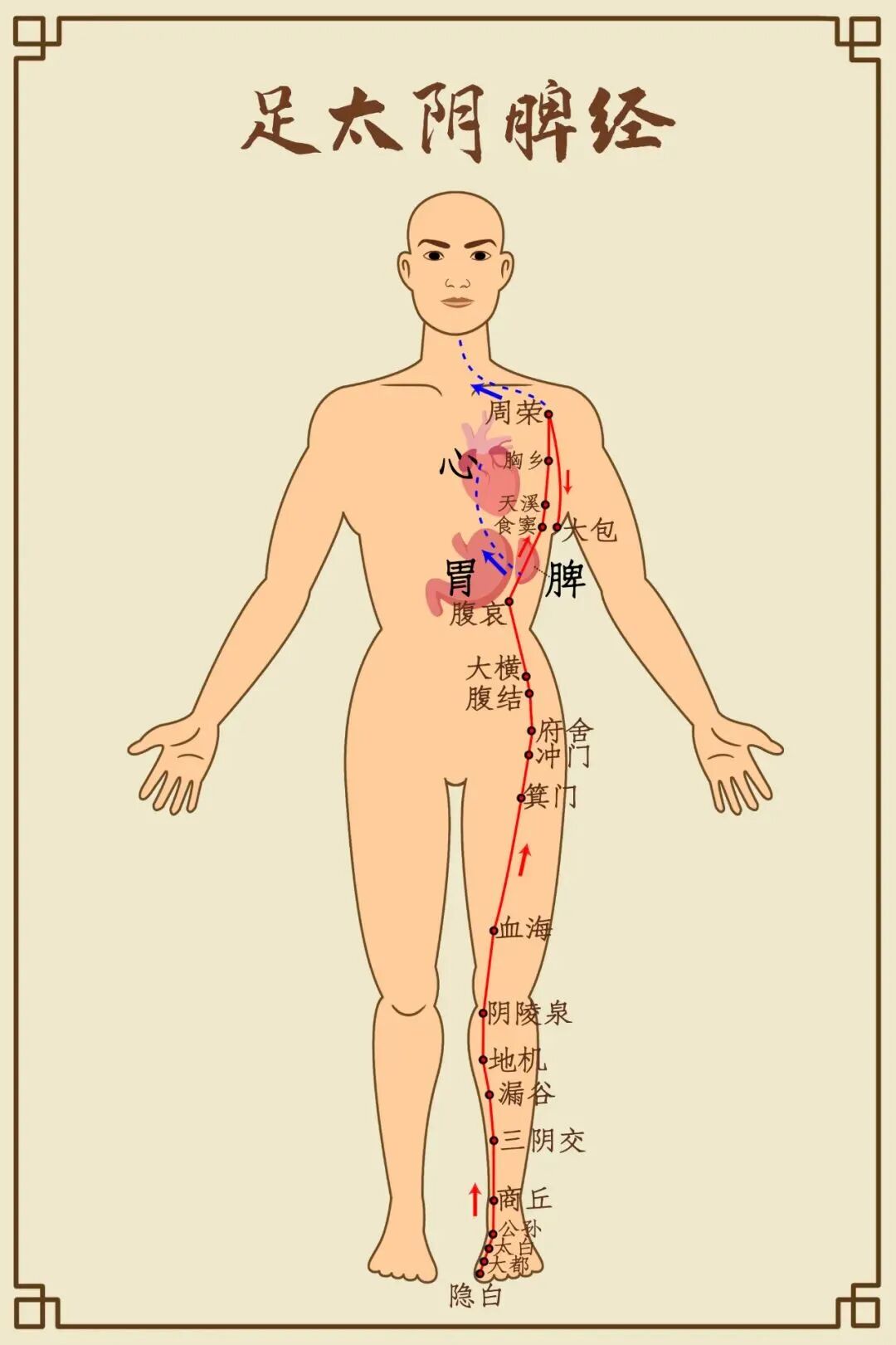 中医：气血不足，手脚冰凉？这些穴位补足你的气血！