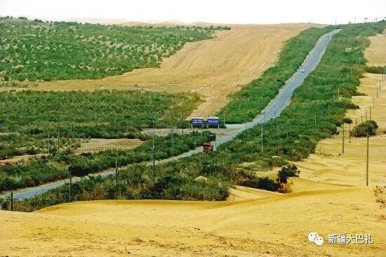 草方格治沙_草方格沙障_草方格沙障的优缺点