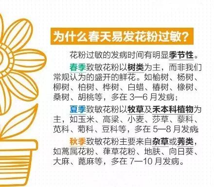 女子在油菜花田拍照后进医院 曾有人过敏诱病身亡