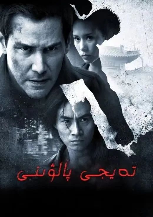 تەيجى پالۋىنى