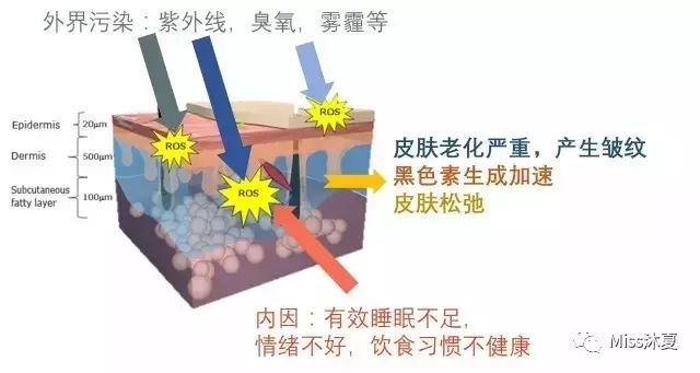 护肤保养 图片_护肤保养是_经期期间如何护肤保养？
