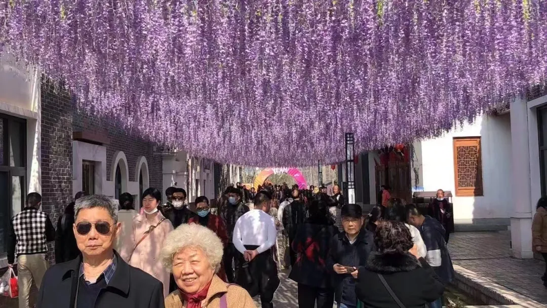 洋湖水街人流如织。 图片