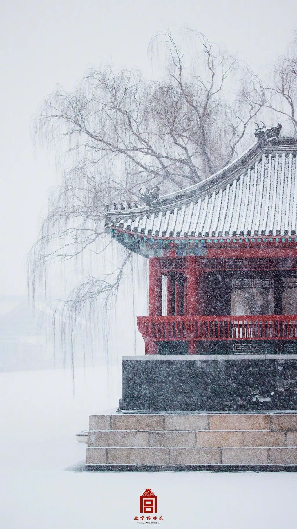 虎年初雪，故宫绝美雪景上新了!