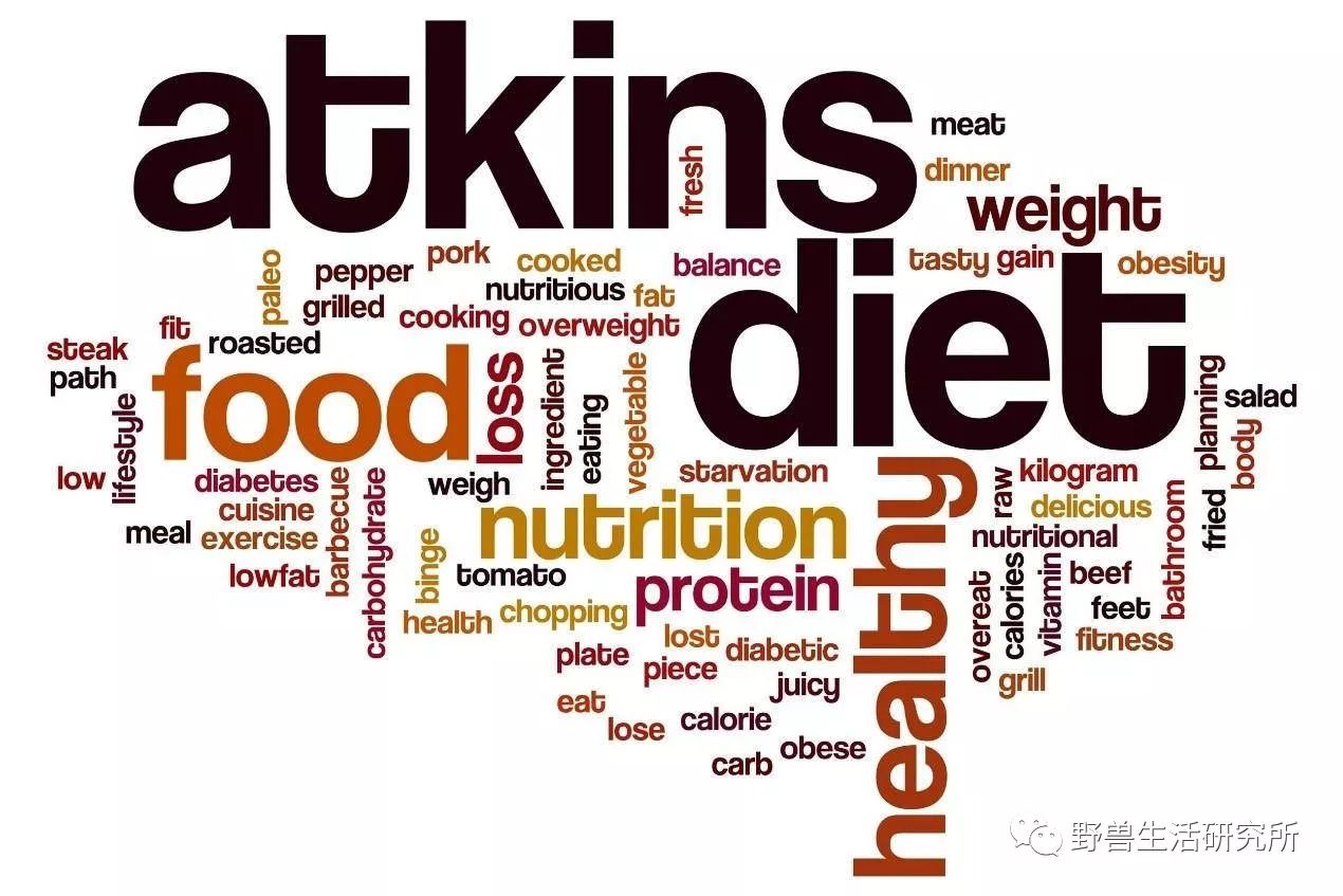 低碳水入門：生酮，阿特金斯，原始人...六種不同飲食法差別在哪裡？ 健康 第12張