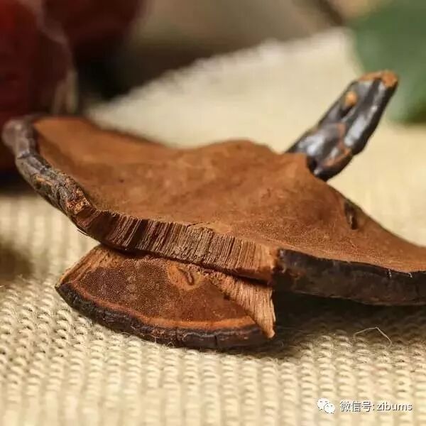 你所不知的灵芝的功效、食用方法