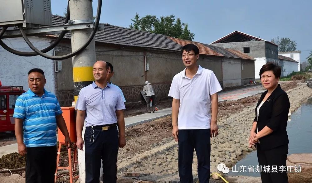 陈庆村到李庄镇蔡村督导美丽乡村建设