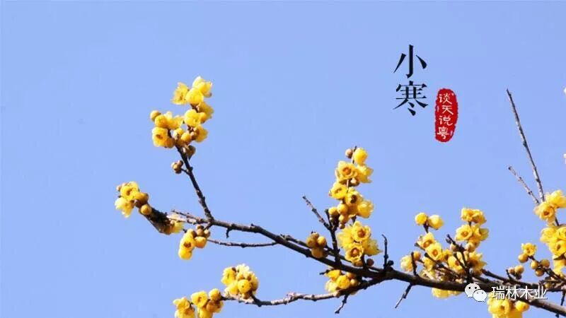 小寒节气的由来