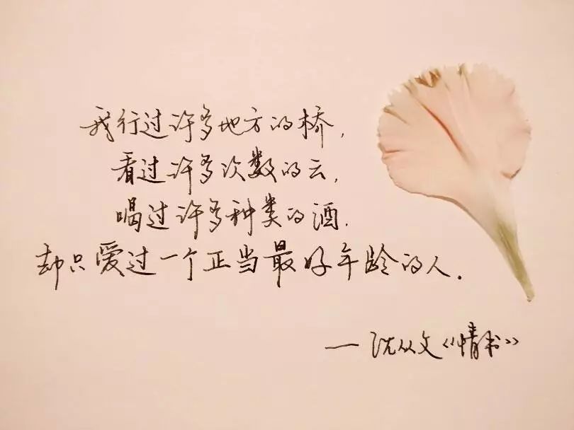这是大作家沈从文,写给爱人张兆和情书中最经典的一句话,沈从文的每