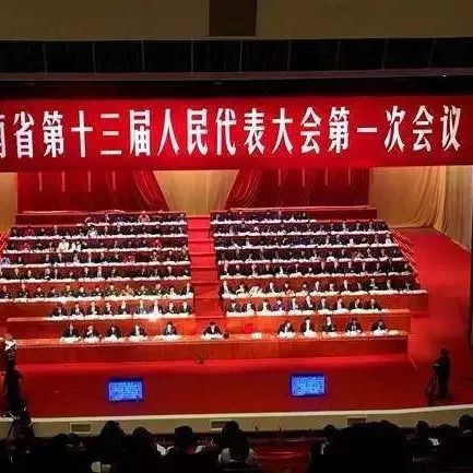 河南出席十三届“人代会”代表团名单出炉,李炜当选全国人大代表