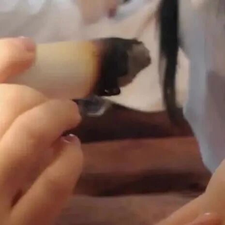 三伏排寒，按一个穴位就够了！其他时间按还能通肾精