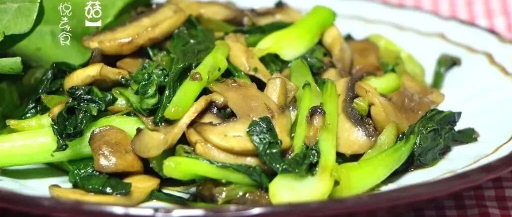十道素食菜谱，开胃下饭，希望能在冬天给您带来温暖。