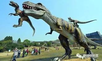 一起玩耍恐龙 dinosaurs 也疯狂