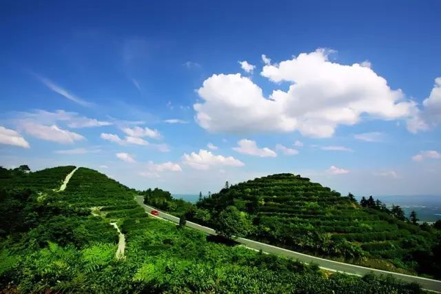 自驾线路:从重庆走渝遂高速至璧山县大路下道,经过大路镇街道继续走