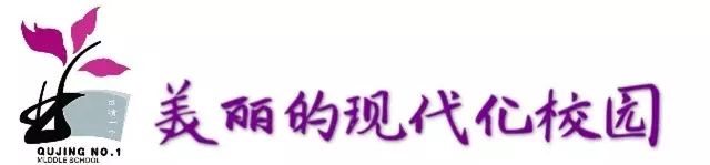 曲靖一中多的不只是学霸