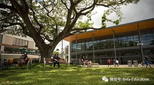 夏威夷大学马诺阿主校区被评为全美最安全校园