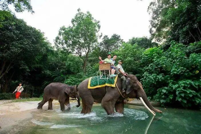 广州长隆水上乐园门票买一送一_广州长隆门票_广州长隆水上乐园门票多少钱