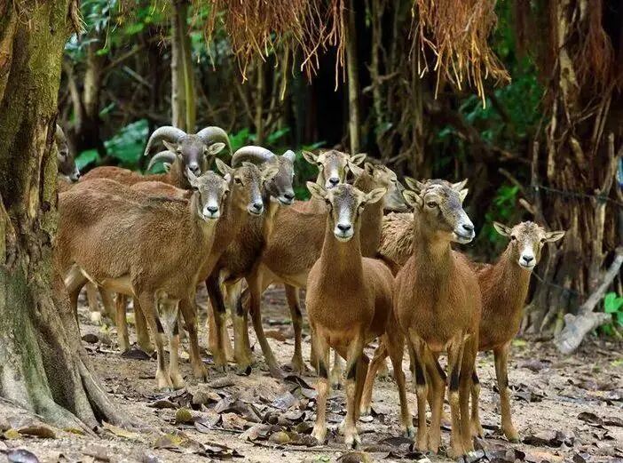 广州长隆水上乐园门票买一送一_广州长隆门票_广州长隆水上乐园门票多少钱