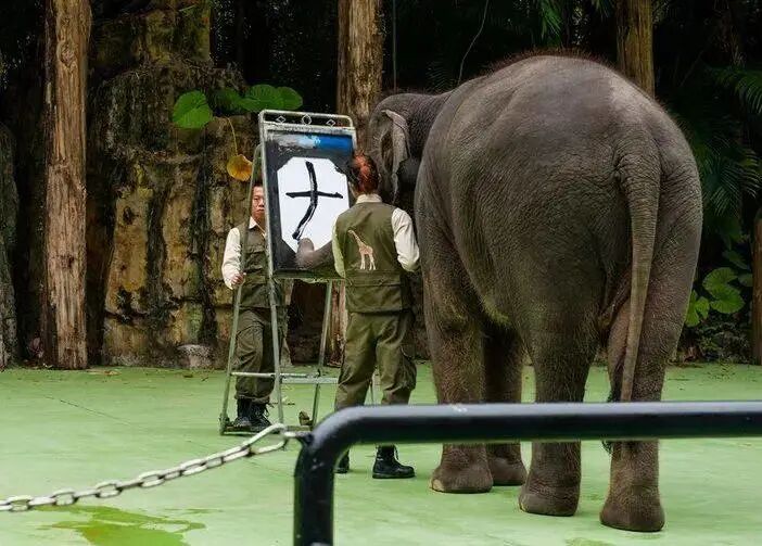 广州长隆水上乐园门票买一送一_广州长隆门票_广州长隆水上乐园门票多少钱