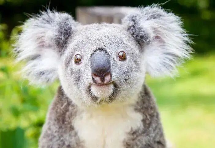 广州长隆门票_广州长隆水上乐园门票多少钱_广州长隆水上乐园门票买一送一