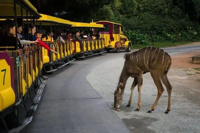 广州长隆水上乐园门票多少钱_广州长隆水上乐园门票买一送一_广州长隆门票