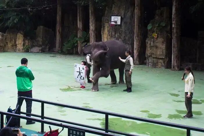 广州长隆水上乐园门票买一送一_广州长隆门票_广州长隆水上乐园门票多少钱