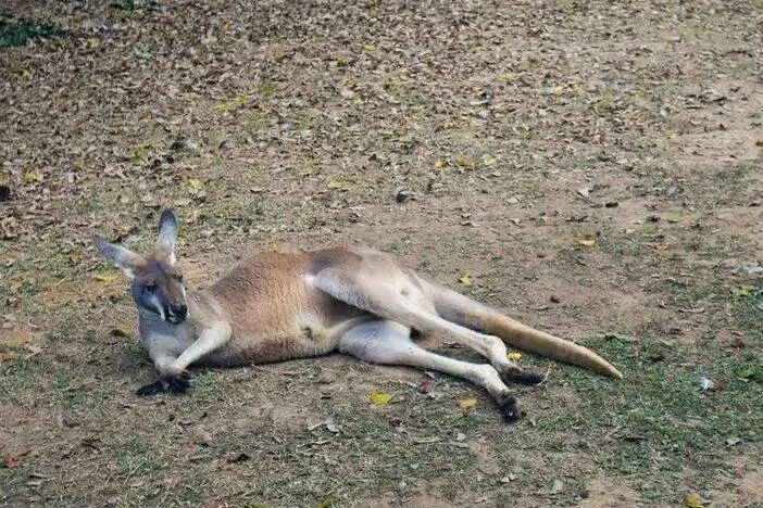 广州长隆水上乐园门票多少钱_广州长隆水上乐园门票买一送一_广州长隆门票