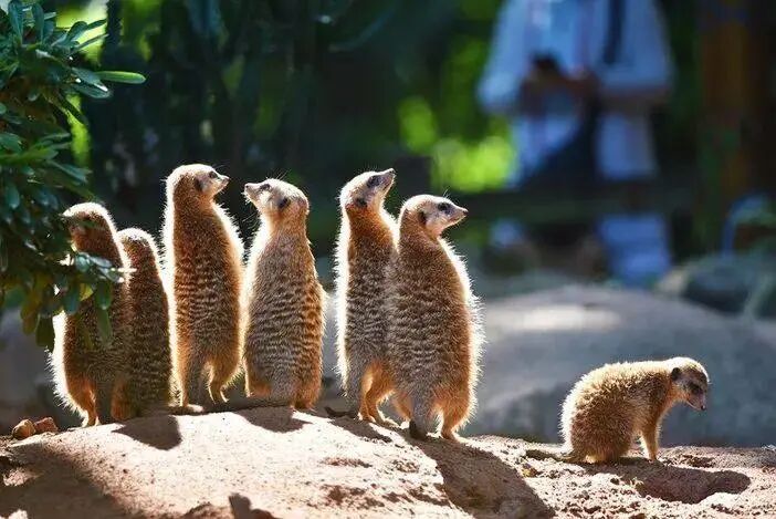 广州长隆水上乐园门票多少钱_广州长隆水上乐园门票买一送一_广州长隆门票