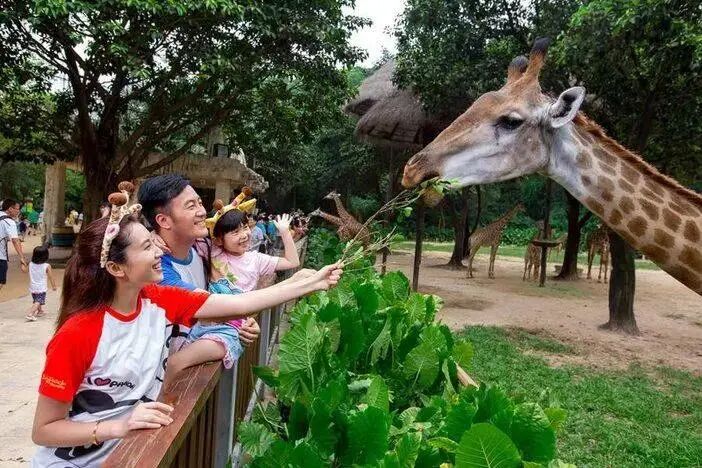 广州长隆水上乐园门票多少钱_广州长隆门票_广州长隆水上乐园门票买一送一