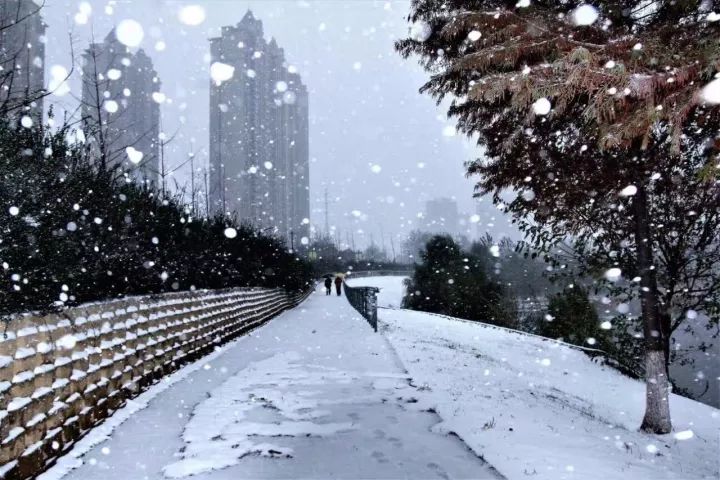 明天社旗要降温下雪了?狂降10°c……快通知大家!