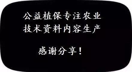 一次说清葡萄病虫害防治的药剂