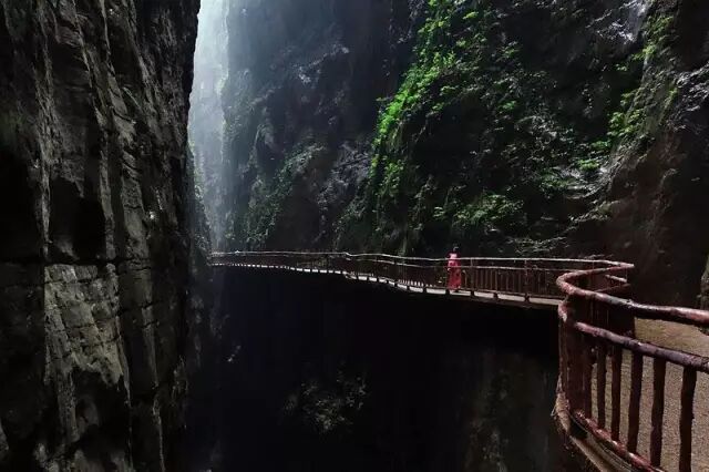 春雨绵绵 雾中重庆美景你看过几个？