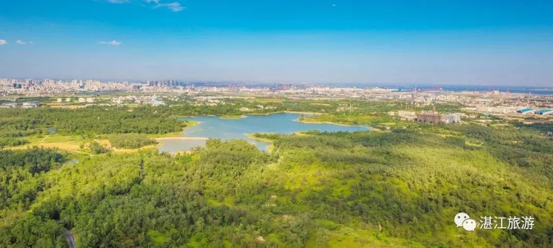 三岭山国家森林公园地址:湛江市霞山区百蓬路廉江市茗上茗世外茶园