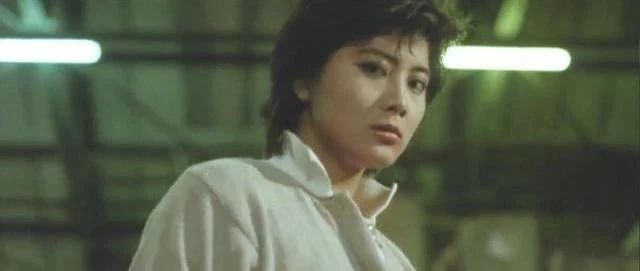 功夫女星杨丽菁的成名作,女打星功夫片的代表系列片