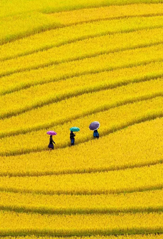 http://7xo6kd.com1.z0.glb.clouddn.com/upload-ueditor-image-20160919-1474260851875069547.jpg 为什么一定要在广州买房?5年后的广州给你答案... - 松隐居主 - 松隐文阁