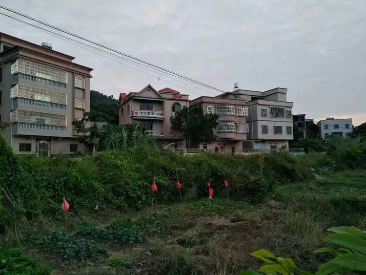 我的家乡—埔寨横坑