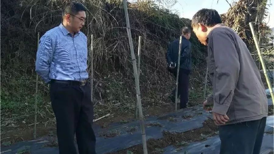 副县长王旭到比德镇黄草村调研“十九大精神宣传助推脱贫攻坚”工作