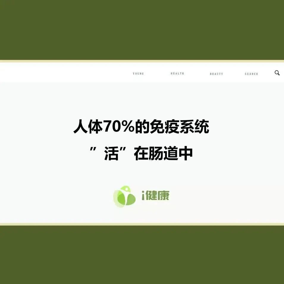 后疫时代的免疫课⑦：人体70%的免疫系统“活”在肠道中