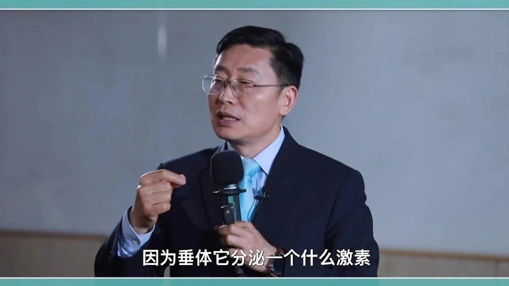 石法武博士∣人体的八大系统：认识你的内分泌系统