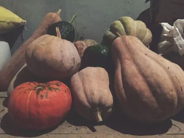 家里种葡萄树好不好有什么讲究吗_家种葡萄树吉祥吗_好讲究葡萄树种家里好不好