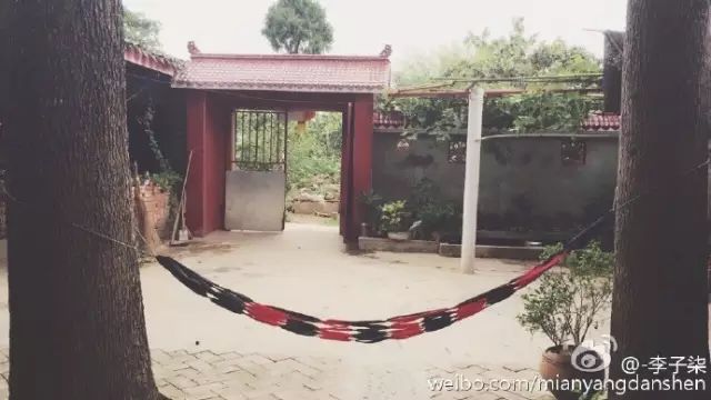 家里种葡萄树好不好有什么讲究吗_家种葡萄树吉祥吗_好讲究葡萄树种家里好不好