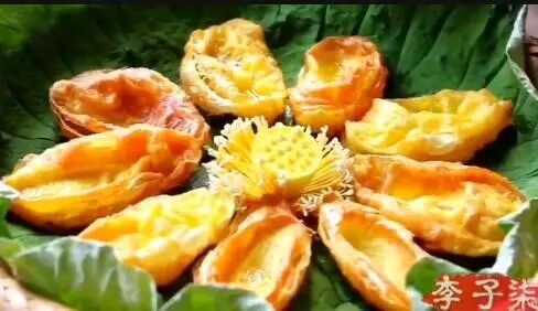 家里种葡萄树好不好有什么讲究吗_好讲究葡萄树种家里好不好_家种葡萄树吉祥吗