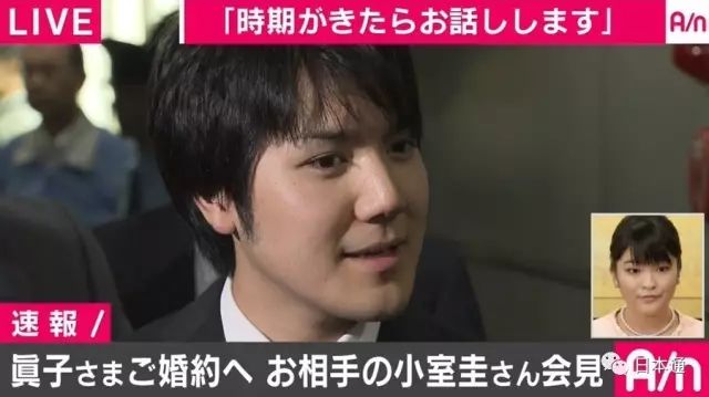 真子与小室圭是在