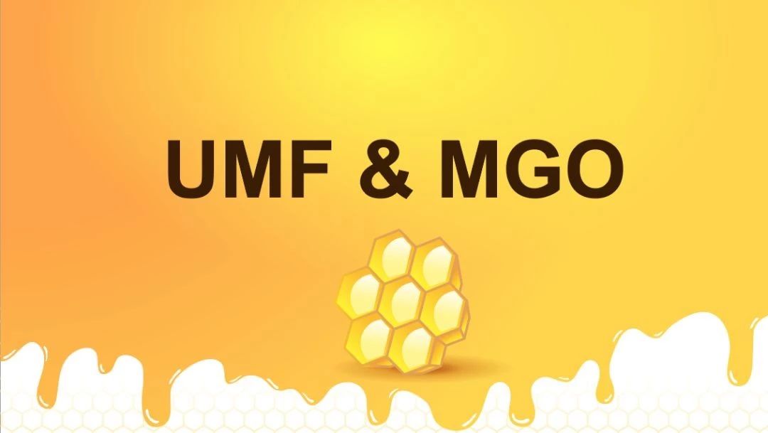 一篇秒懂 麦卢卡蜂蜜umf和mgo的区别 云至新岛 微信公众号文章阅读 Wemp
