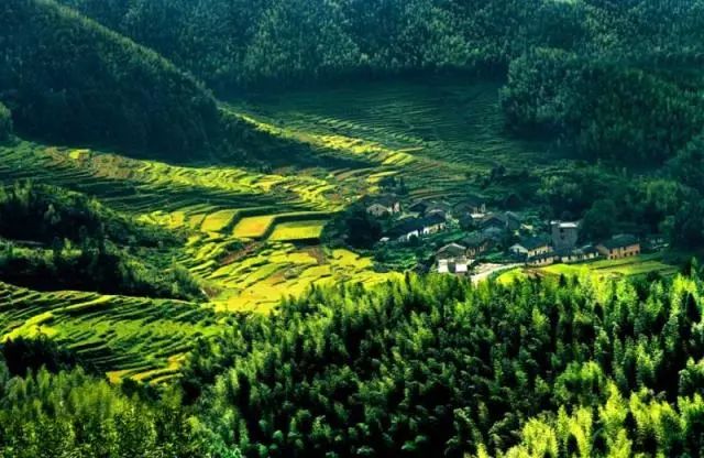 「华东最美讲解员」明月山刘丹:为“明月”扬名!